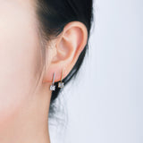 18k Diamond Princess Earrings